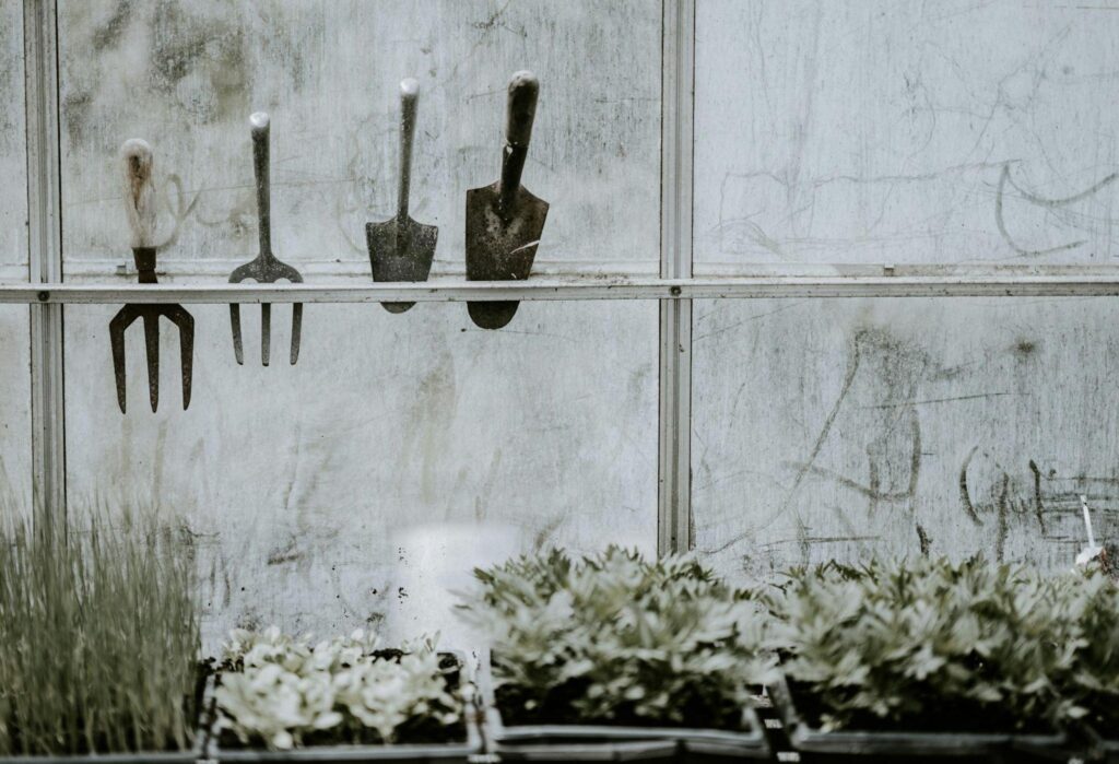 image7 10
