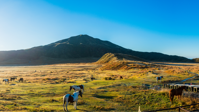 九州ガイド：あまり知られていないこの夏お勧めスポット5選！ 