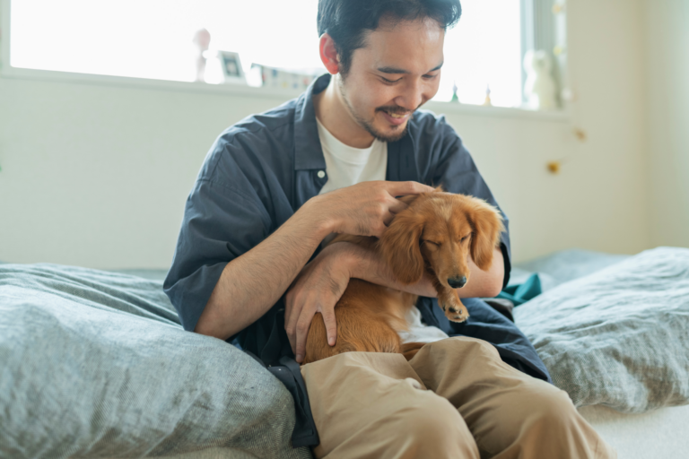 一人暮らしでも犬を飼いたい！必要な費用や飼い方について知っておきたいこと　 