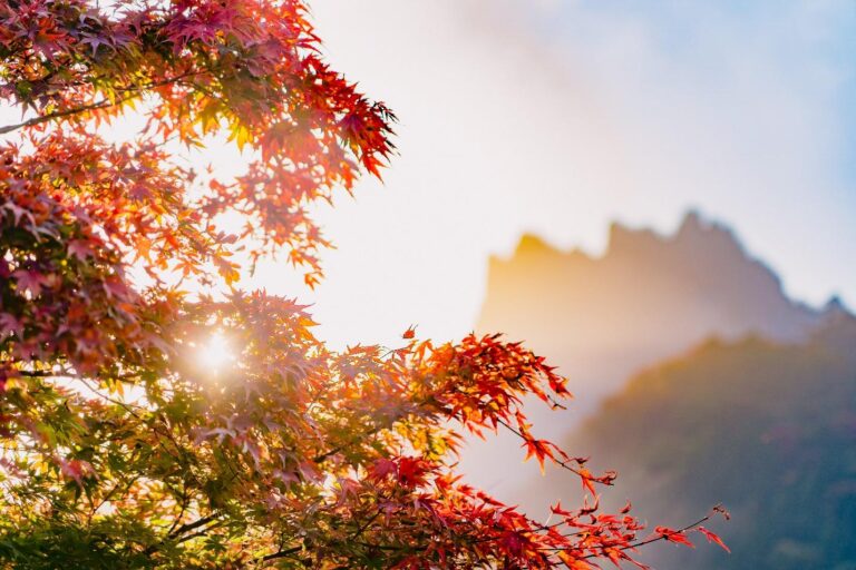 関東のハイキングコース – 紅葉絶景スポット5選 
