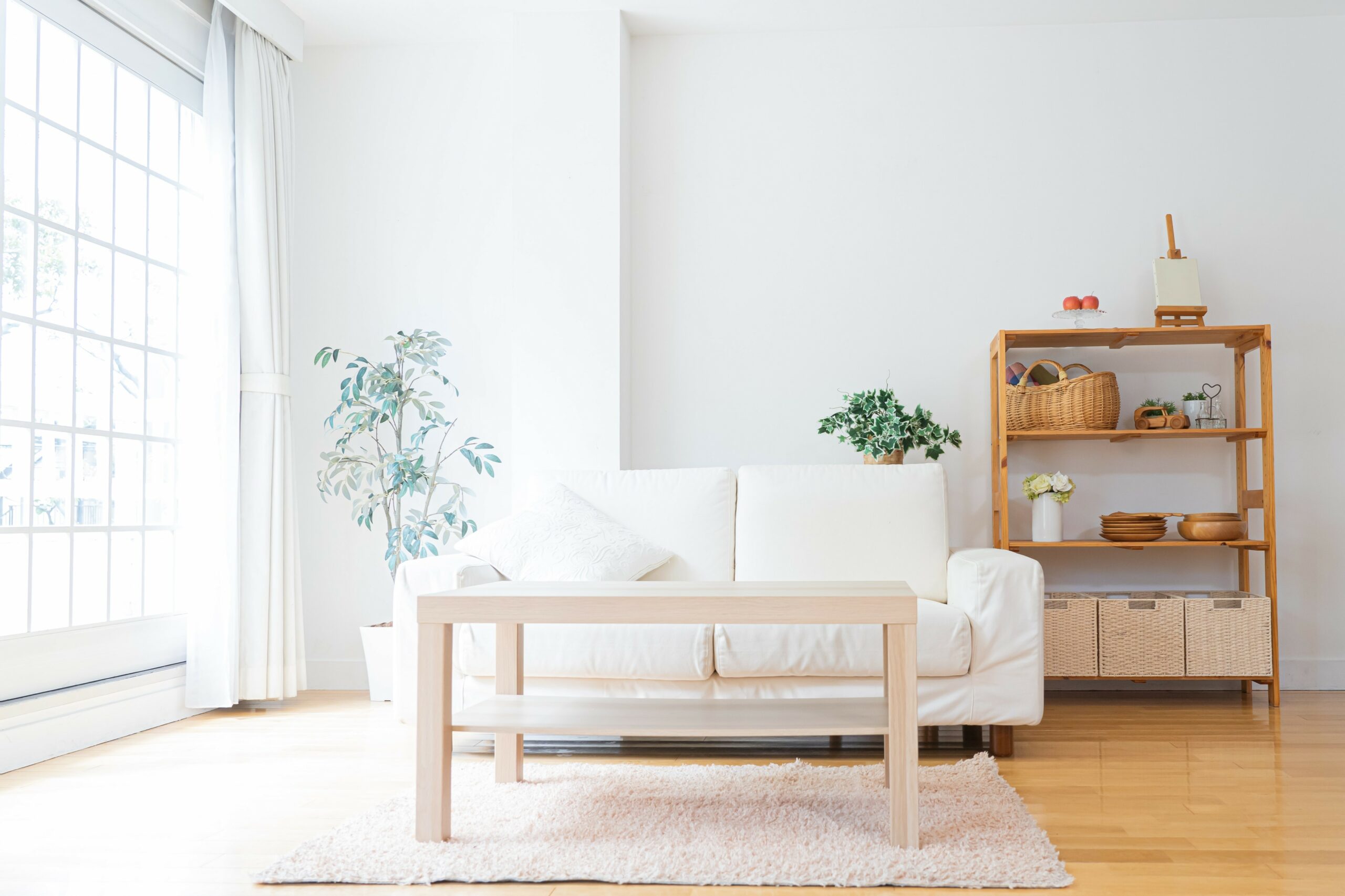 AdobeStock 430074721 scaled