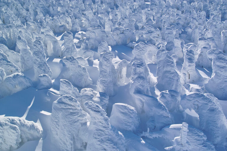 息を呑むような冬の観光スポット5選（東北編） 