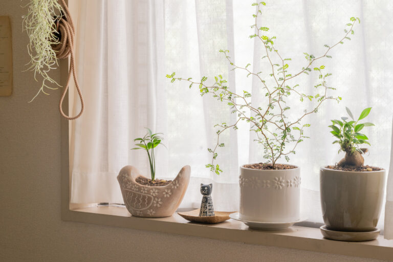 北欧インテリアの部屋作りとは？コツやポイントを紹介