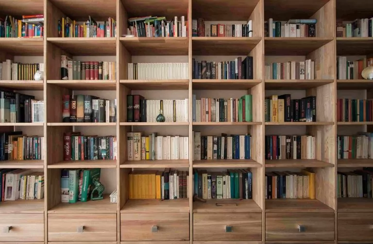 vertical storage bookshelves 2