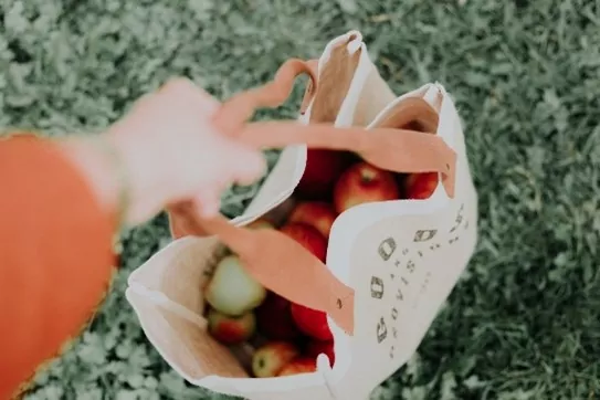 Como ser Mais Autossustentável no Japão: Compras Ecologicamente Corretas 5 Sacola cheia de maçãs