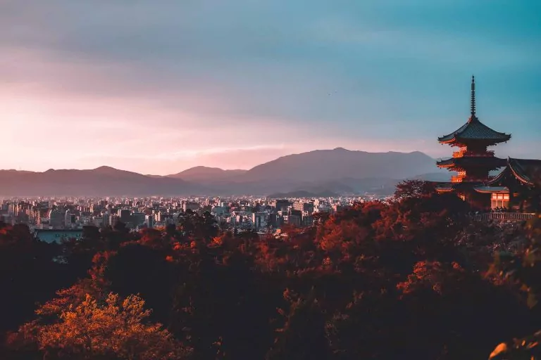 su san lee E eWwM29wfU unsplash min