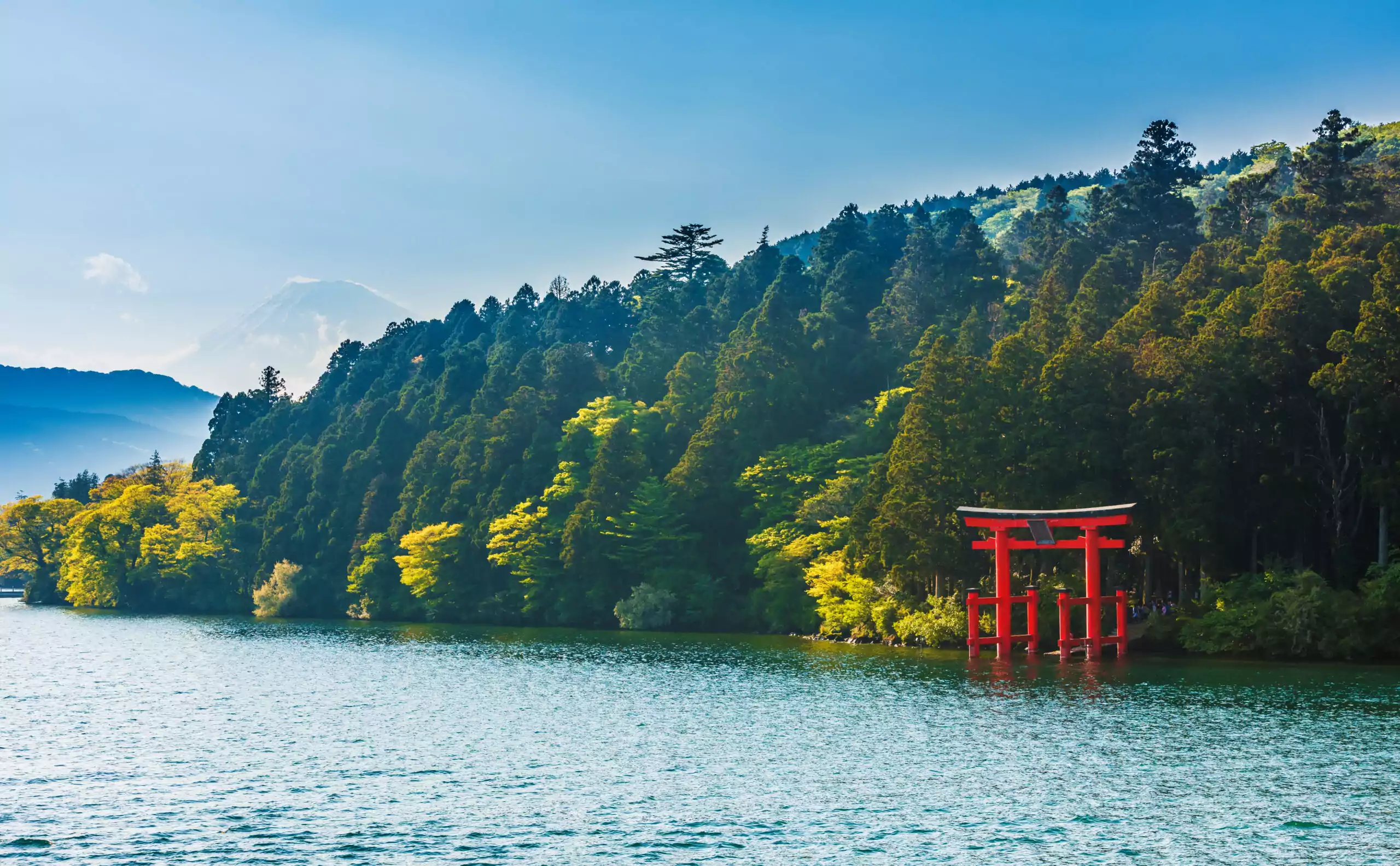 AdobeStock 193486883 scaled