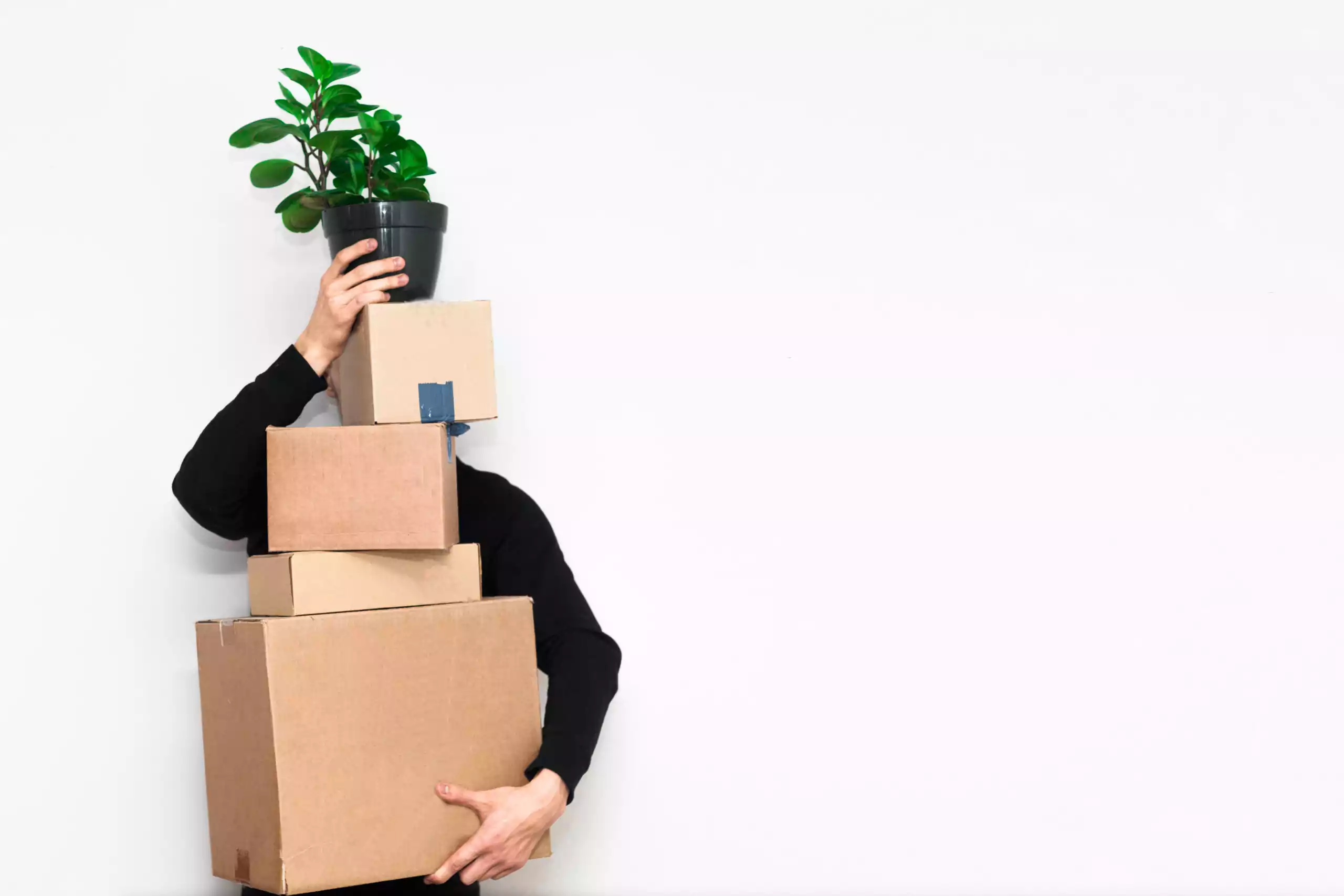 5-Step Guide For A More Eco-Friendly Move 50 AdobeStock 248933183 1 scaled