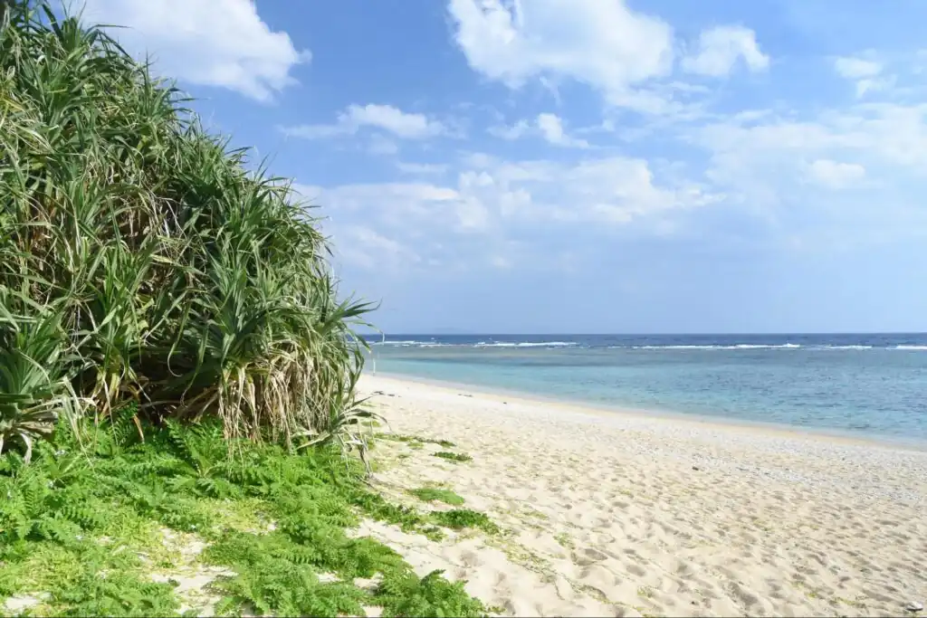 5 Popular Kyushu Beaches to Visit This Summer - Village Blog