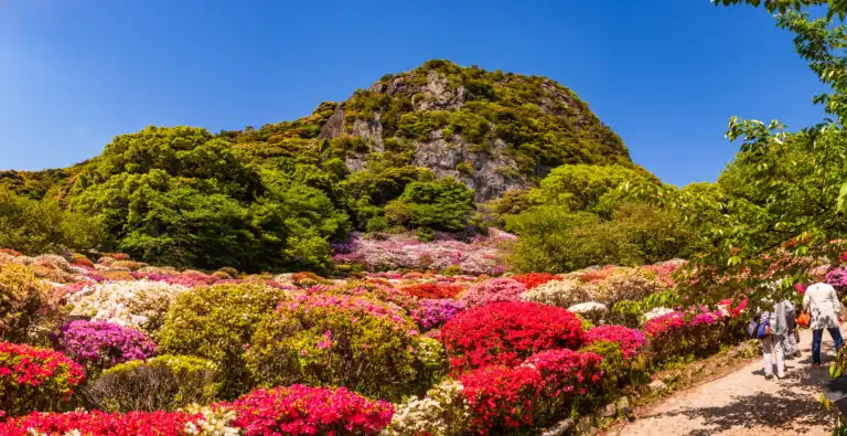 AdobeStock 203903740