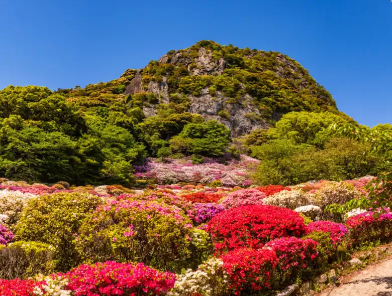 AdobeStock 203903740 scaled
