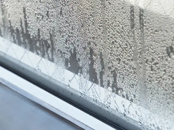 Essential Prep for the Rainy Season: How to Manage Humidity 7 image 2