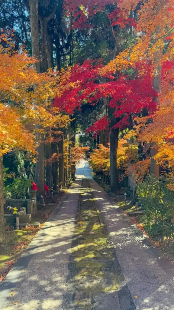 佐賀県の知られざる魅力: 日本の田舎の秘められた美しさ 6 image 31