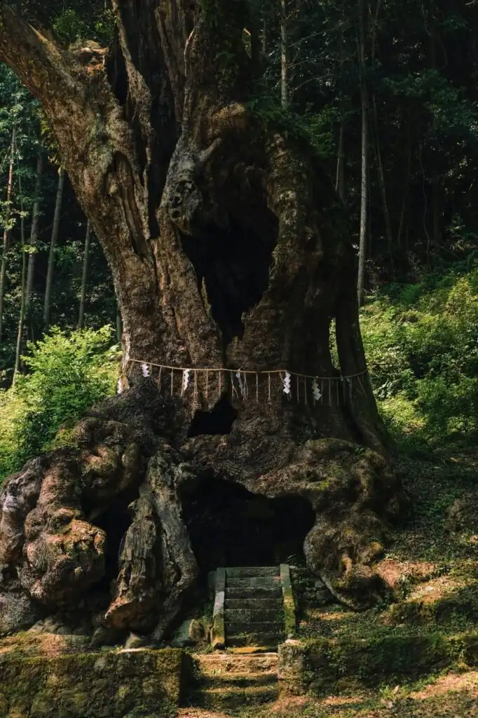 Descobrindo a Prefeitura de Saga: revelando joias escondidas no interior do Japão 7 image 34