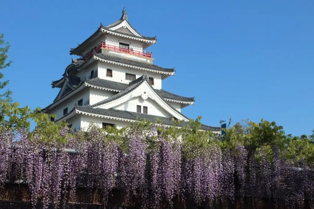 Descobrindo a Prefeitura de Saga: revelando joias escondidas no interior do Japão 4 image 36