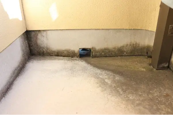 雨の日に内見する時のチェックリスト 6 image 50